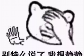 安阳安阳专业催债公司，专业催收