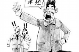 安阳为什么选择专业追讨公司来处理您的债务纠纷？